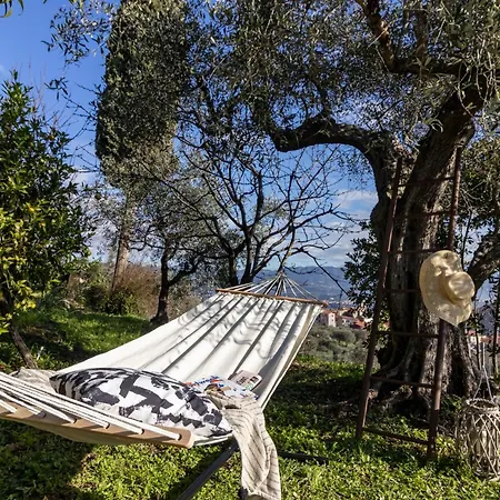 Апартаменты Castellara House - Colline Di Lerici